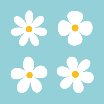 Collection of white flower icon vector. Simple cute round flower head in various shapes. Chamomile, daisy flower set vector. Botanical spring blossom art. Abstract organic petal floral design. 