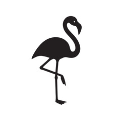 Flamingo Clear Feature Vector