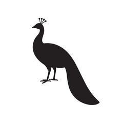 Peacock Minimalist Black Vector