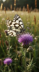 Marbled White Butterfly on Thistle: Summer Meadow Serenity