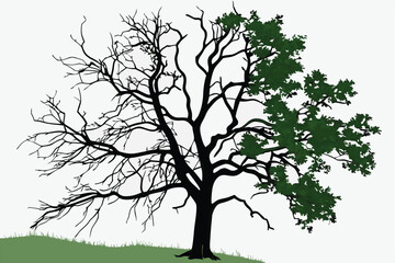 25 photo of a tree with leafless branches on one side and lush green leaves on the other side, photo manipulation, highly detailed, realistic, 4k