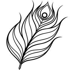 Obraz premium Peacock Feather line art vector