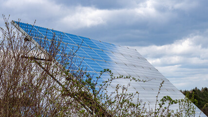 Solar Panel Array Reflecting Sky with Bushes in Foreground 