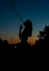 Twilight Silhouette AI Generated