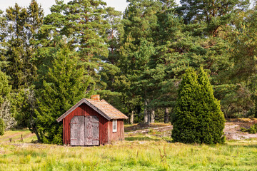 Red wooden shed by the forest edge