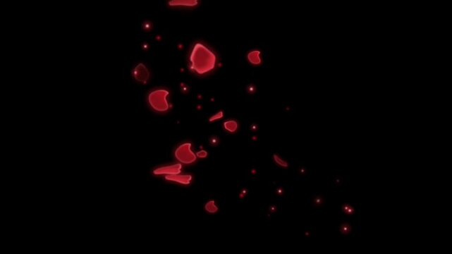 Lovely hearts animation video. 