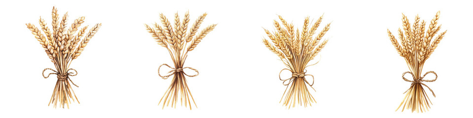 Fototapeta premium Bundles of wheat stalks tied with string arranged in a row.
