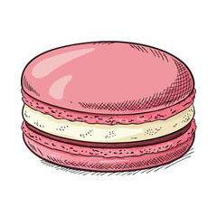 Create a bold, vector illustration of a macaron with visible cream filling, emphasizing a thick outline.  High detail, clean lines.