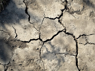 Obraz premium Cracked Earth Texture: This image showcases the stark reality of arid land, with intricate, deep cracks etched into the parched surface.