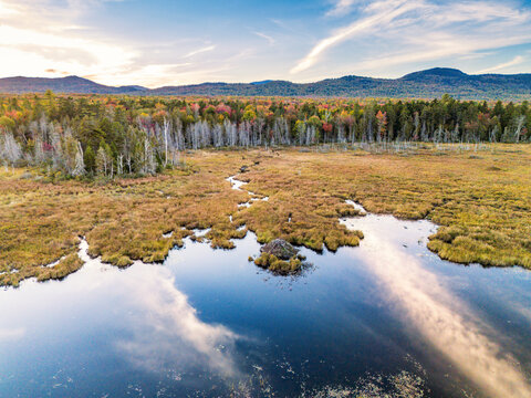 Aerial view of a beaver lodge in a tranquil wetland landscape in Maine, USA