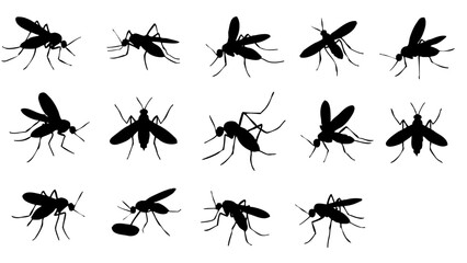 insect, animal, silhouette, nature, fly, mosquito, pest, insects, pattern, icon, vector