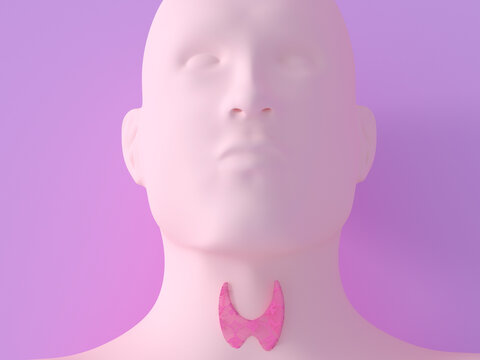 3D rendering of a symbolic thyroid illustration on a human neck