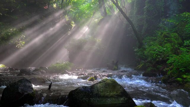 【滝と光芒】夏の軽井沢・朝の竜返しの滝【長野県】