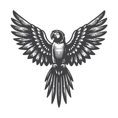 Obraz premium Vintage Hand-Drawn Macaw Flying Side View Illustration – Tropical Bird Engraved Style Vector for T-Shirts, Posters, Stickers, and Exotic Themes Apparel