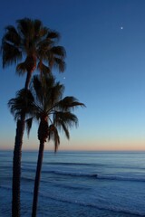Obraz premium Palm Trees Silhouetted Against Ocean at Dusk, Evoking Tranquility and Coastal Getaways, Ideal for Travel and Tourism Campaigns : Generative AI