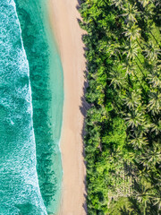 Aerial Shot of A Sandy Beach with Blue Ocean Water and Palm Trees Ideal Summer Vacation