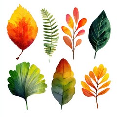 Watercolor Autumn Leaves Collection