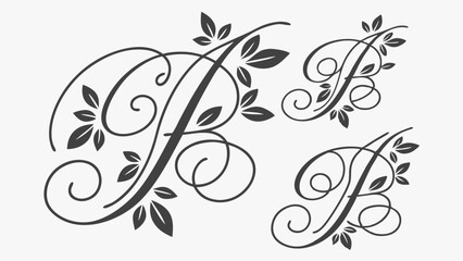 Highly Detailed Ornate Elegant Calligraphy B Monogram with Decorative Floral Leaves Swirls Flourishes Letter Initial Design Art