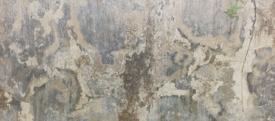Distressed Concrete Wall Texture with Natural Patterns