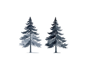 Obraz premium Set of green pine trees on white background 