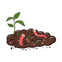 Plant Growing Out of the Earth, vector illustration, full of compost