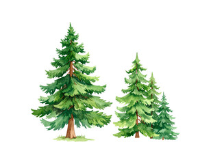 Obraz premium A quiet and beautiful picture of a pine tree. 