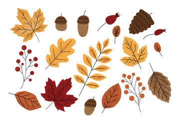 Autumn collection with colorful fall leaves, berries, acorns, and pinecones. Hand drawn flat vector style on white background. Perfect for seasonal decor and botanical designs. Vector illustration