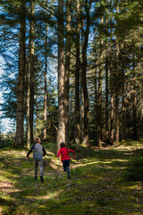 Fototapeta premium Two children run through a sun-dappled forest, enjoying a playful adventure amongst the tall trees.