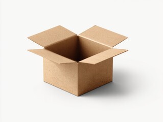 Open cardboard box (1)