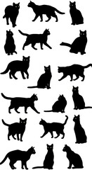 Midnight Cat Parade AI Generated