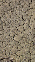 Land dried up and cracked due to drought and shortage of rain