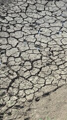Land dried up and cracked due to drought and shortage of rain