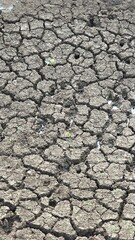 Land dried up and cracked due to drought and shortage of rain