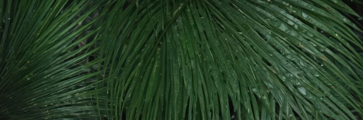Intricate venation, emerald green palm leaf, sharp focus,  flora,  rainforest,  sharp