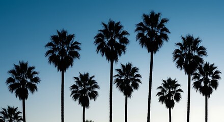 Naklejka premium Twilight Palm Silhouette AI Generated