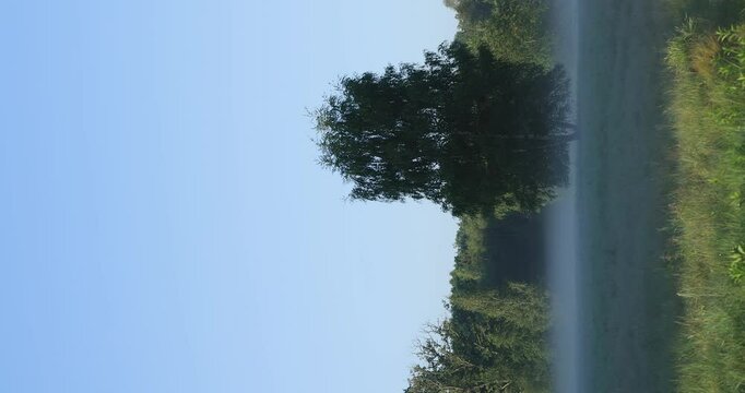 Early morning scenery in field. Sun casting beautiful rays of light through the mist and trees.