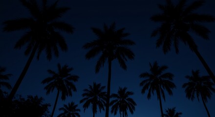 Fototapeta premium Midnight Palms AI Generated