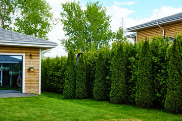 modern suburban backyard with wooden house and green hedge. vibrant manicured lawn and tall...