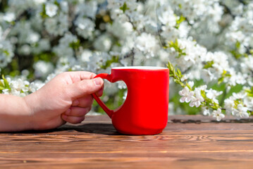 Obraz premium The girl holds in her hand heart shaped mug with tea against the background of blossoming cherry