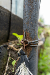 Rusty pipe with wire