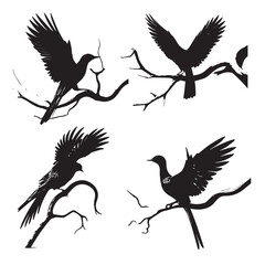 black silhouette of a bird side view isolated