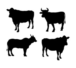 set of vector cow silhouettes