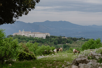 Widok na klasztor Monte Cassino