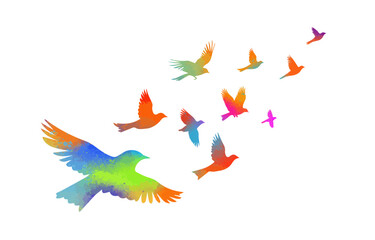 Flying colored birds silhouettes on white background. Vector illustration. isolated bird flying. tattoo design