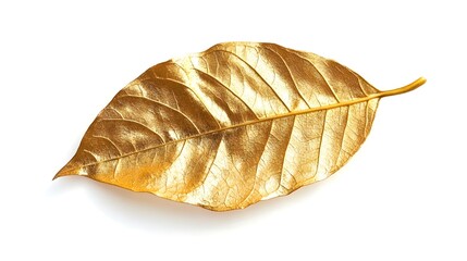 A leaf plant gold isolated on white background