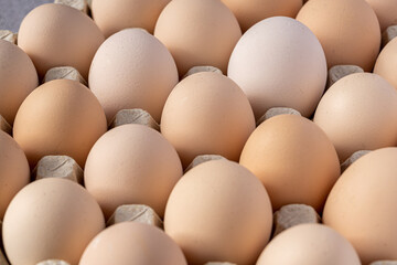 Brown eggs stacked in rows.Group of Fresh white Eggs in a cardboard cassette. Organic food from nature good for health.