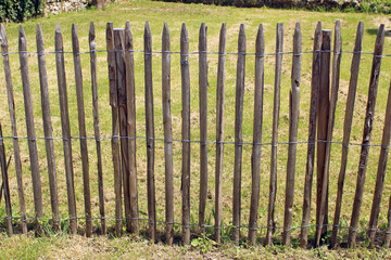 Clôture bois à planter, à dérouler, bordure pour plantation dans le jardin