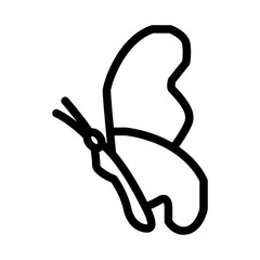 Butterfly icon