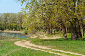 The forest and paths create a stunning natural scene, with beautiful spring landscapes featuring green grass and trees