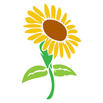 yellow sunflower on green stem clip art preview
